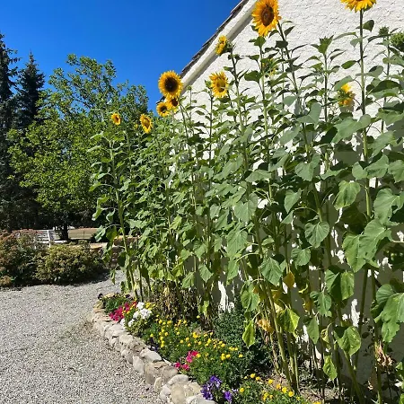Le Cheval Blanc * Serres (Hautes-Alpes)